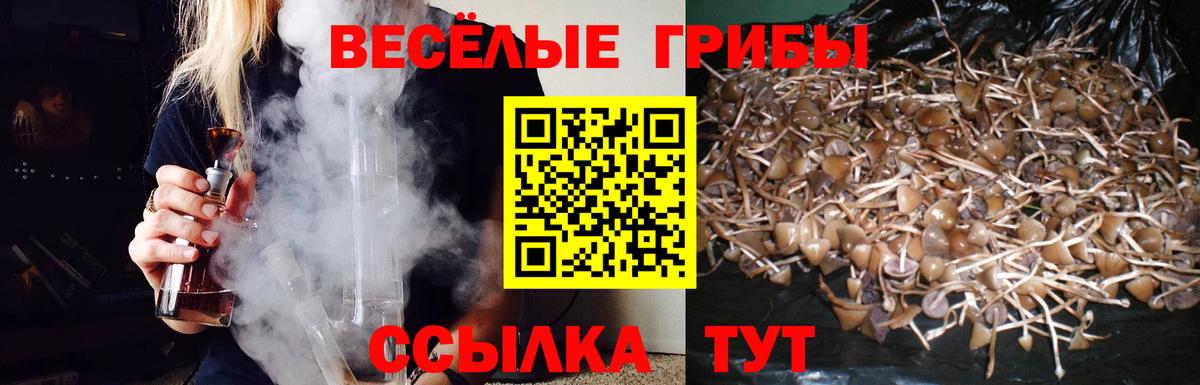 Псилоцибиновые грибы Psilocybine cubensis  Вход с VPN  Ачхой-Мартан 