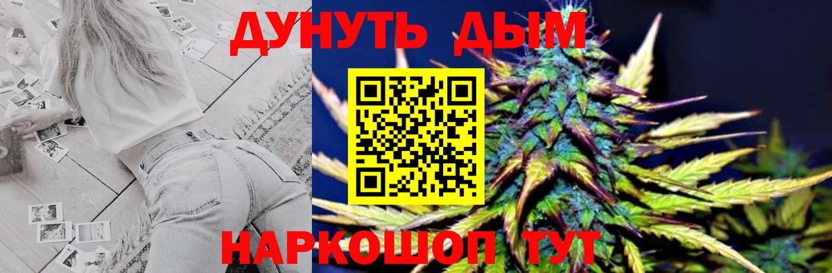 Конопля марихуана Ачхой-Мартан